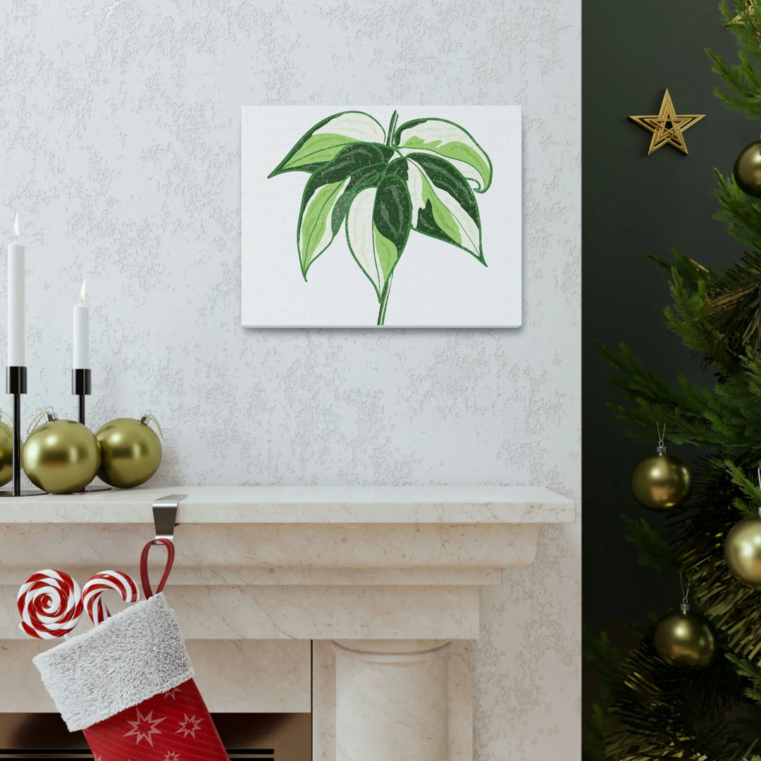Philodendron Canvas Print - Cream Splash Variegated Plant Art on Matte Cotton Canvas