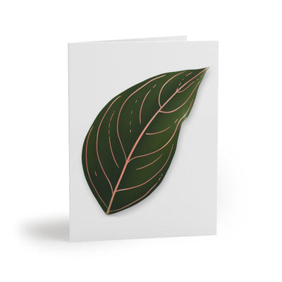 Aglaonema Rotundum Greeting Card, Paper products, Laura Christine Photography & Design, Greeting Card, Holiday Picks, Home & Living, Paper, Postcard, Postcards, Laura Christine Photography & Design, laurachristinedesign.com