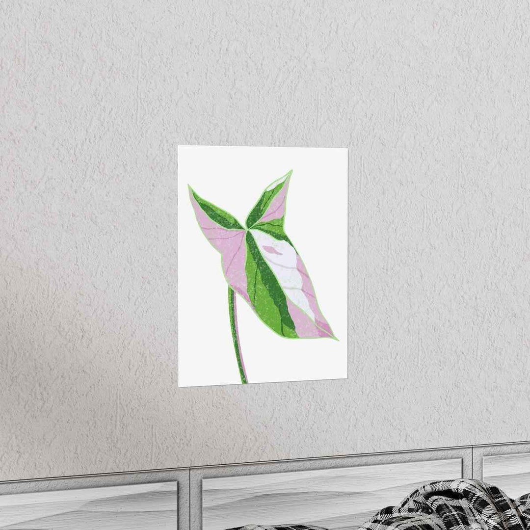 Syngonium Tricolor Print – Botanical Wall Art | Variegated Leaf Poster Unframed