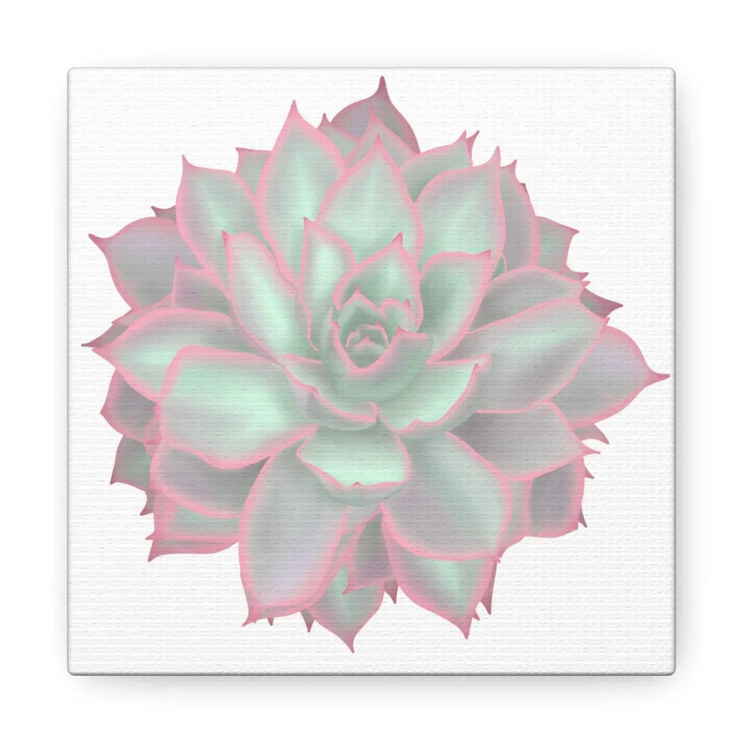 Echeveria Violet Queen Succulent Canvas, Canvas, Laura Christine Photography & Design, Art & Wall Decor, Canvas, Hanging Hardware, Home & Living, Indoor, Laura Christine Photography & Design, laurachristinedesign.com