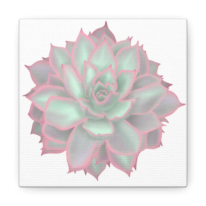 Echeveria Violet Queen Succulent Canvas, Canvas, Laura Christine Photography & Design, Art & Wall Decor, Canvas, Hanging Hardware, Home & Living, Indoor, Laura Christine Photography & Design, laurachristinedesign.com