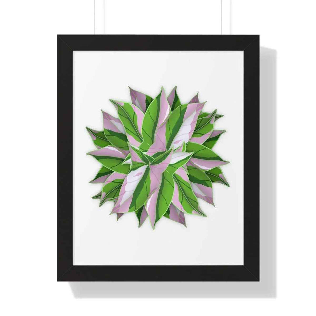 Syngonium Tricolor Print - Framed Botanical Art With Matte Finish & Acrylic Cover