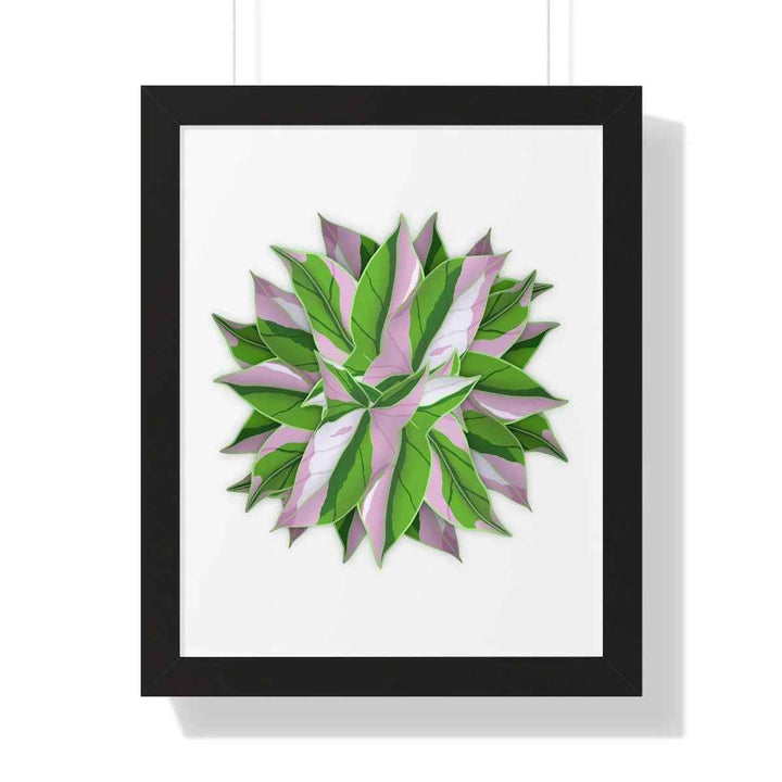 Syngonium Tricolor Print - Framed Botanical Art With Matte Finish & Acrylic Cover