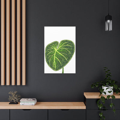 Philodendron Gloriosum Canvas, Canvas, Laura Christine Photography & Design, Art & Wall Decor, Canvas, Hanging Hardware, Home & Living, Indoor, Laura Christine Photography & Design, 