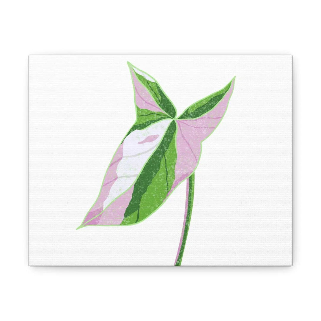 Syngonium Tricolor Canvas | Botanical Canvas Art Print With Matte Finish - Laura Christine Photography & Design