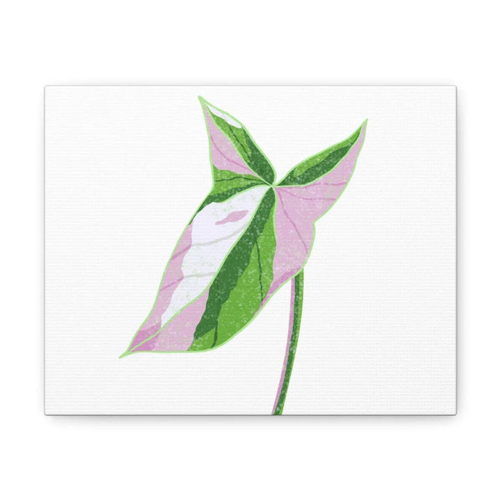Syngonium Tricolor Canvas | Botanical Canvas Art Print With Matte Finish - Laura Christine Photography & Design