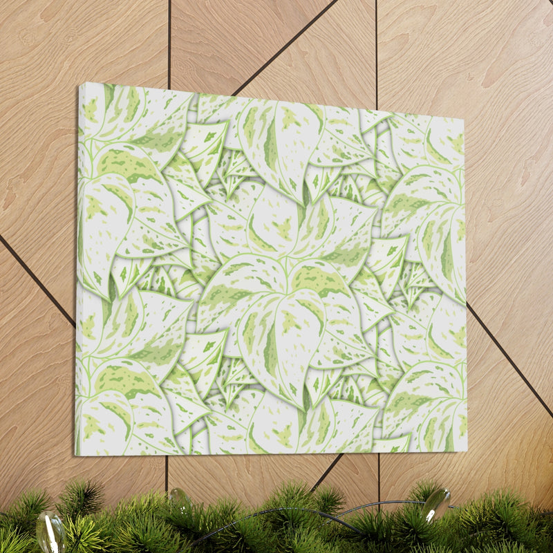 Snow Queen Pothos Canvas