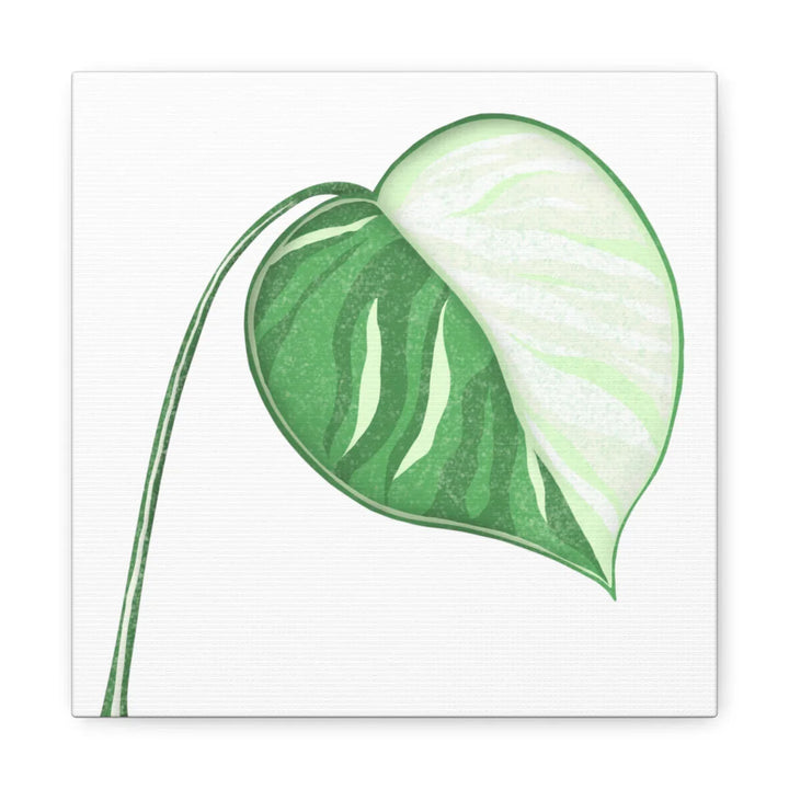 Monstera Albo Canvas | Large Tropical Leaf Artwork - Matte Finish Canvas Art Print - Laura Christine Photography & Design