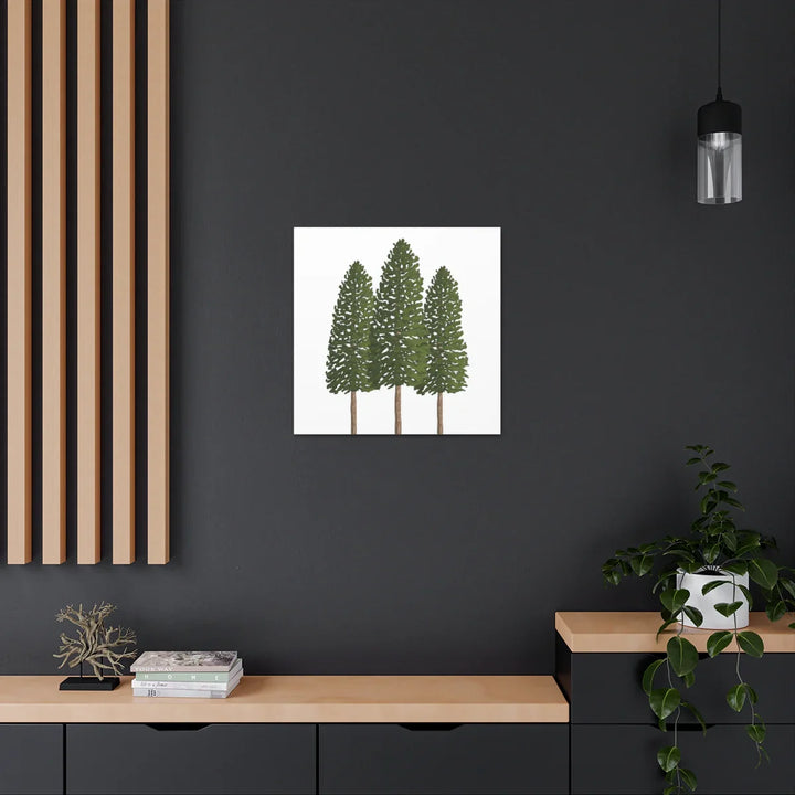 Ponderosa Pine Canvas - Large Stretched Cotton Canvas Art Print With Matte Finish
