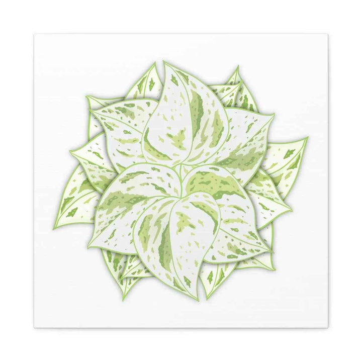 Snow Queen Pothos Canvas – Variegated Leaf Canvas Art Print | Durable Cotton