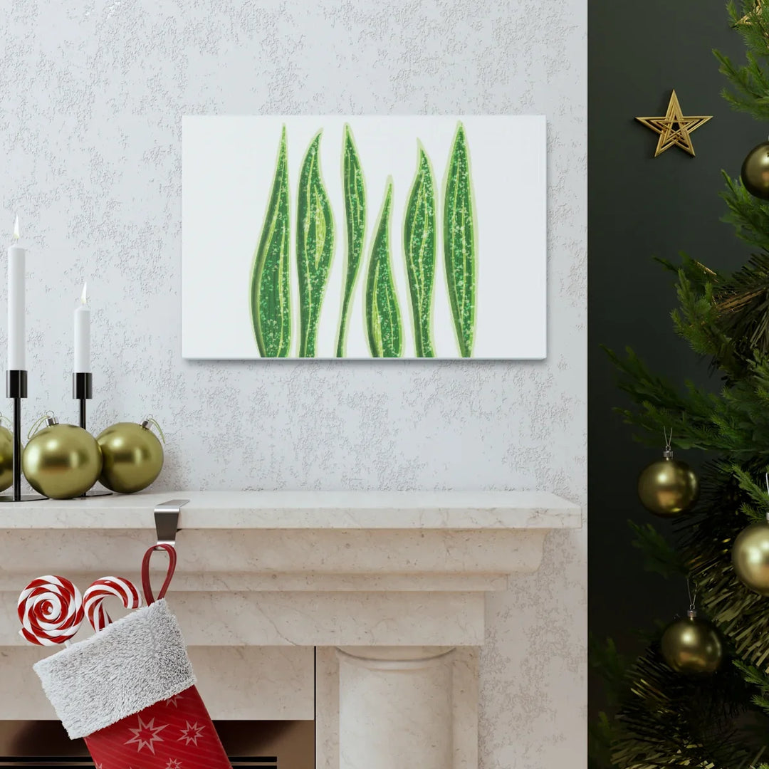 Snake Plant Canvas | Botanical Canvas Decor - Matte Finish Artwork for Living Room - Laura Christine Photography & Design