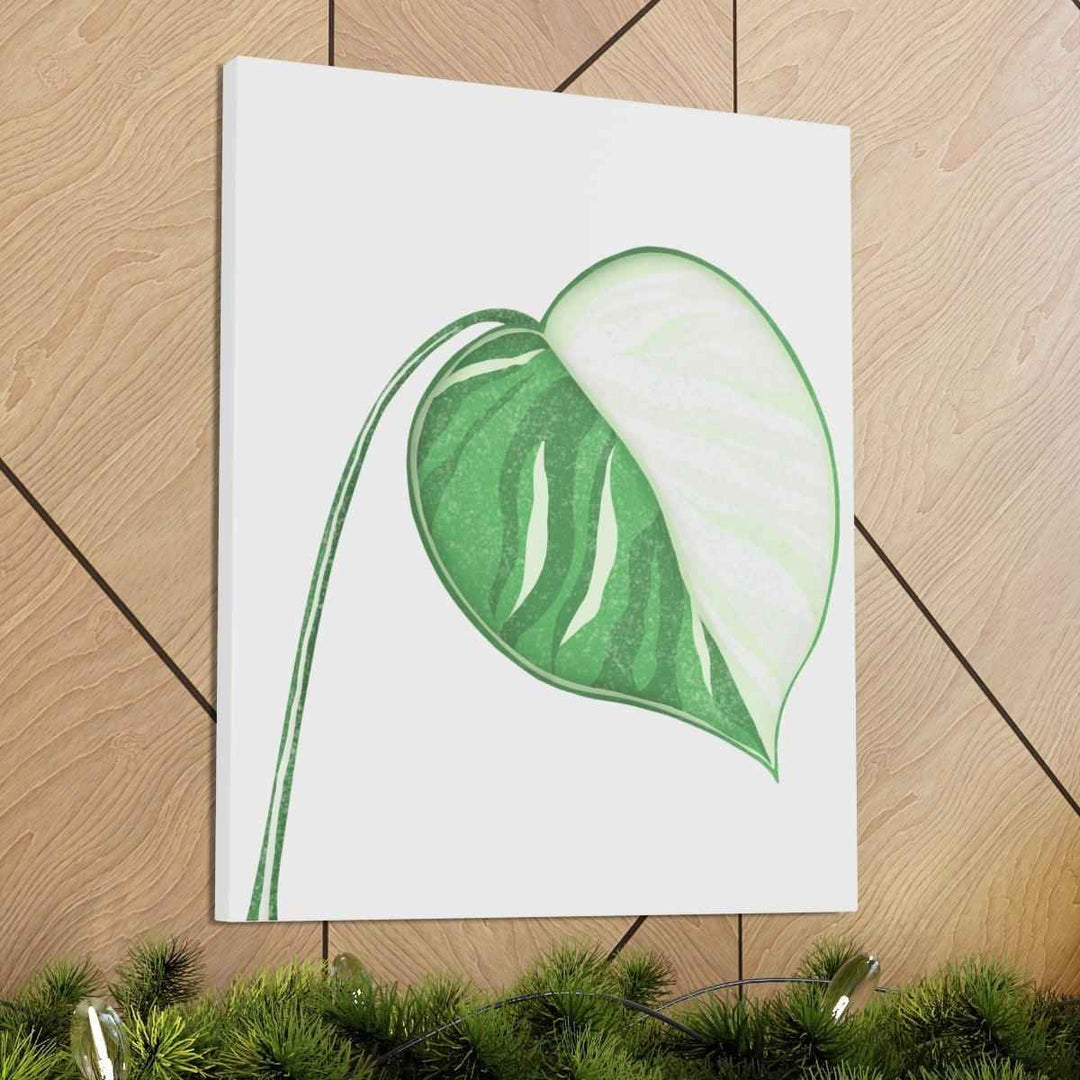 Monstera Albo Canvas | Large Tropical Leaf Artwork - Matte Finish Canvas Art Print