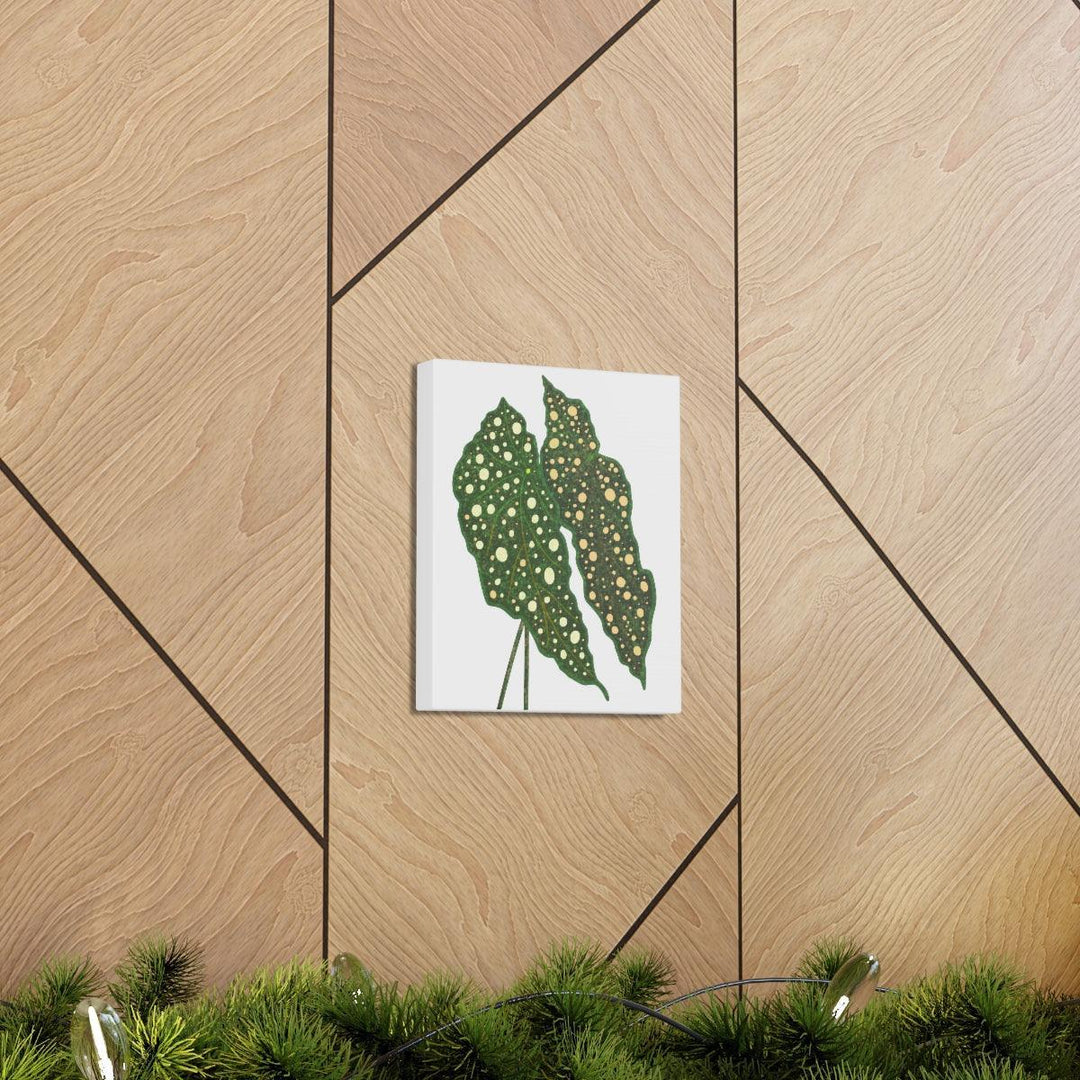 Begonia Maculata Canvas | Premium Canvas Art Print - Matte Finish, Durable Wall Decor - Laura Christine Photography & Design