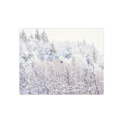 Blue Bird in a Snowy Forest - Photo Poster, Poster, Printify, Art & Wall Decor, Home & Living, Paper, Poster, Posters, Laura Christine Photography & Design, laurachristinedesign.com