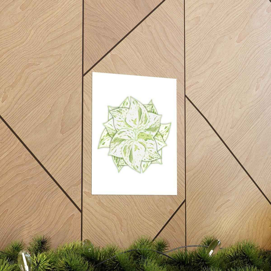 Snow Queen Pothos Print – Variegated Pothos Art on Museum Grade Paper Unframed