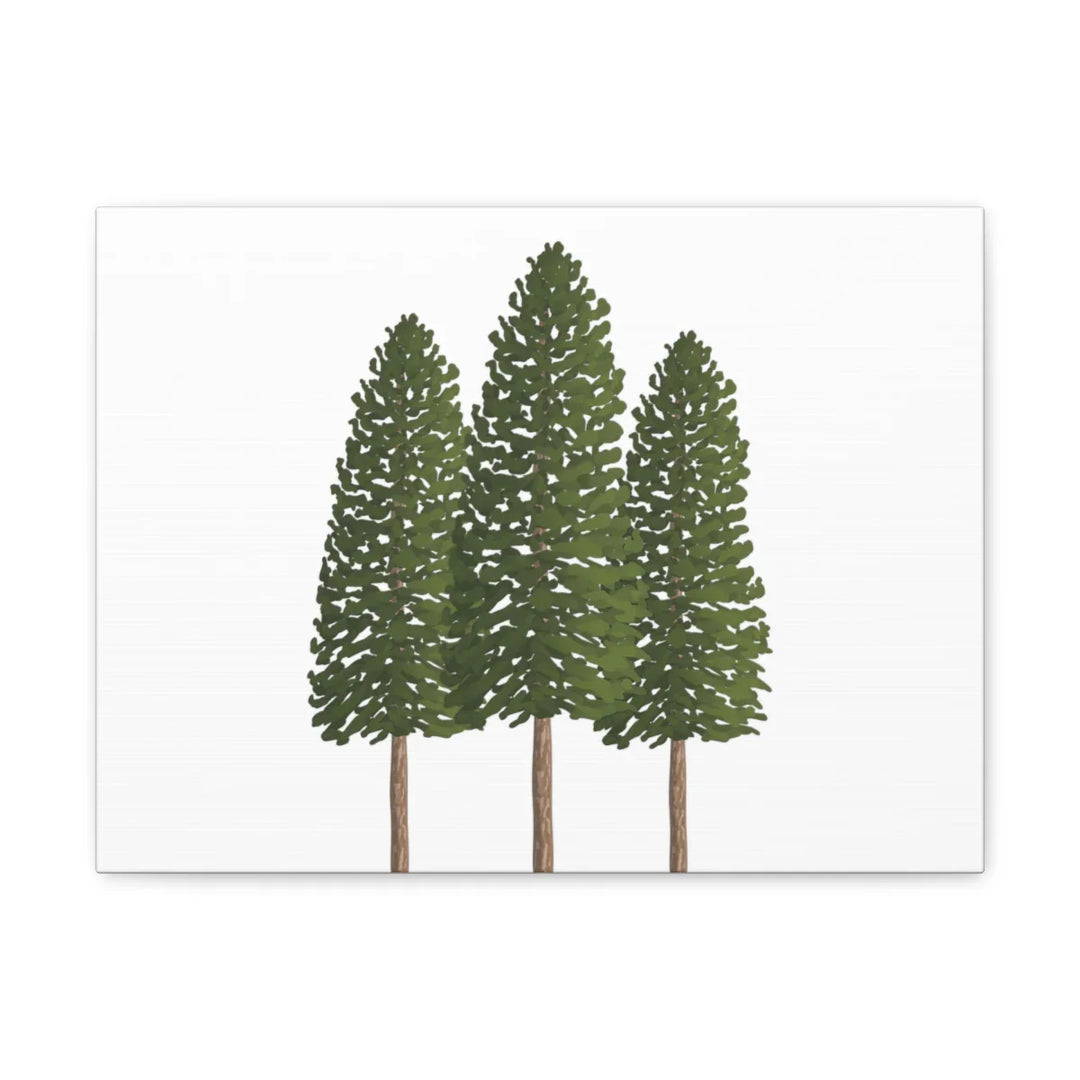 Ponderosa Pine Canvas - Large Stretched Cotton Canvas Art Print With Matte Finish