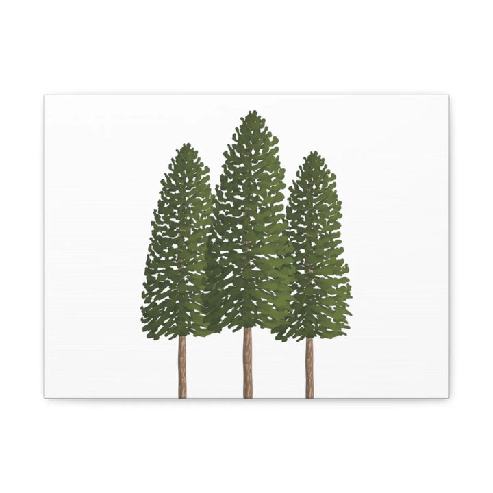 Ponderosa Pine Canvas - Large Stretched Cotton Canvas Art Print With Matte Finish