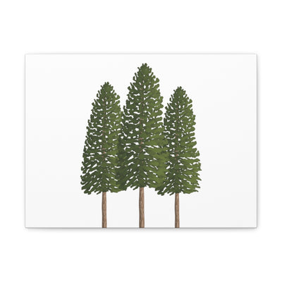 Ponderosa Pine Canvas