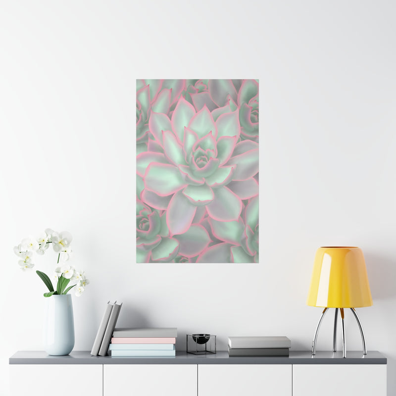 Echeveria Violet Queen Succulent Print