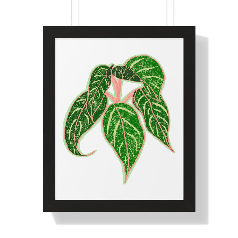 Sparkling Sarah Agalonema (Chinese Evergreen) Framed Print, Poster, Laura Christine Photography & Design, Aglaonema, Bottle, Canvas Bag, Chinese Evergreen, Coffee, Drinkware, Framed, Home & Living, Indoor, Paper, Posters, Reusable, Shopping Bag, Sparklng Sarah, Tea, Tote Bag, Travel, Tumbler, Water, Laura Christine Photography & Design, laurachristinedesign.com