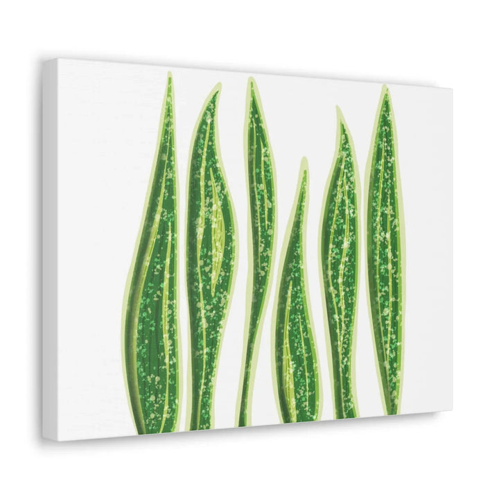 Snake Plant Canvas | Botanical Canvas Decor - Matte Finish Artwork for Living Room - Laura Christine Photography & Design