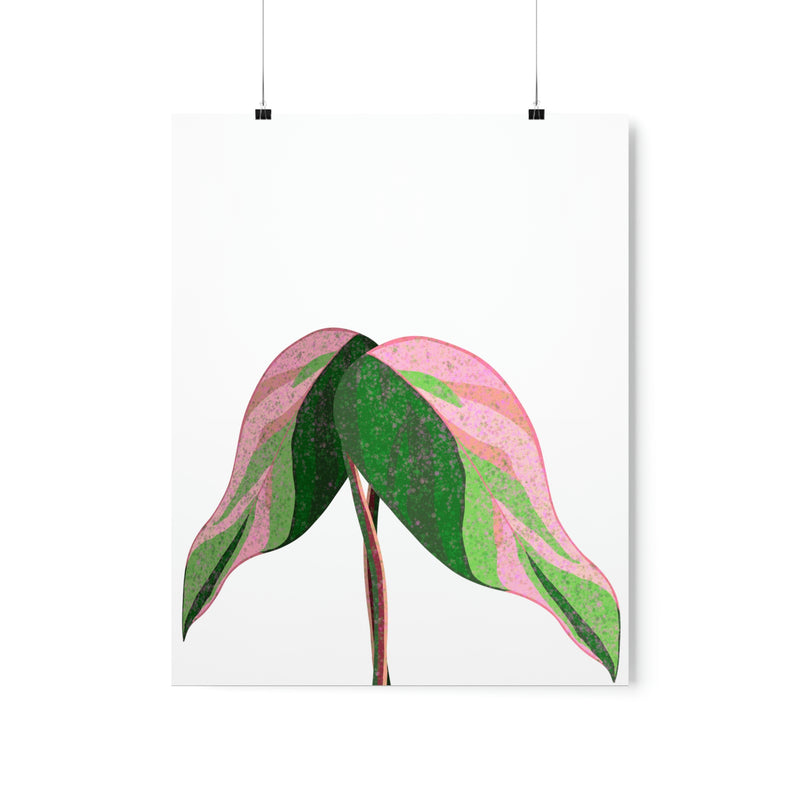 Pink Princess Philodendron Print