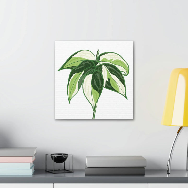 Philodendron Canvas Print - Cream Splash Variegated Plant Art on Matte Cotton Canvas