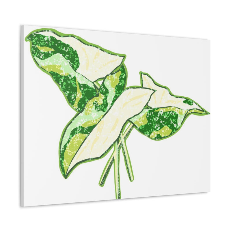 Marble Syngonium Canvas