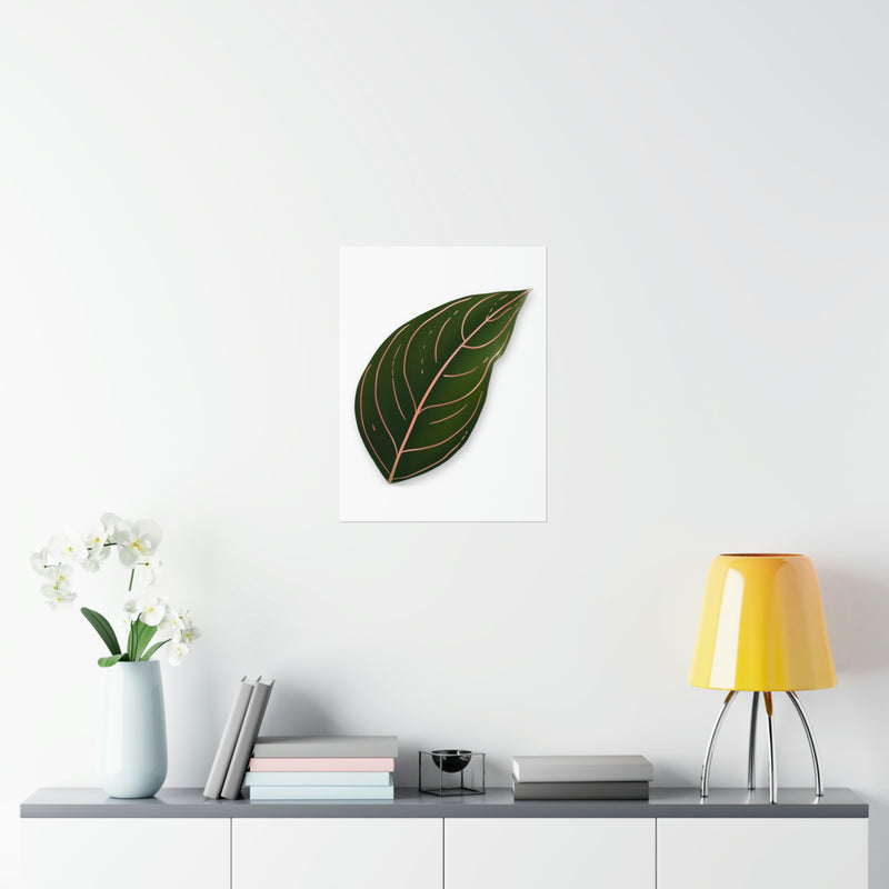 Aglaonema Rotundum Print