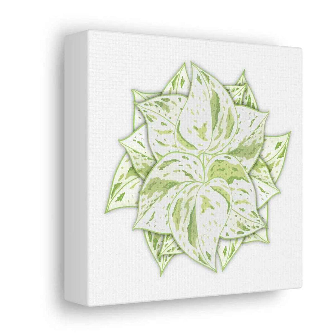 Snow Queen Pothos Canvas – Variegated Leaf Canvas Art Print | Durable Cotton