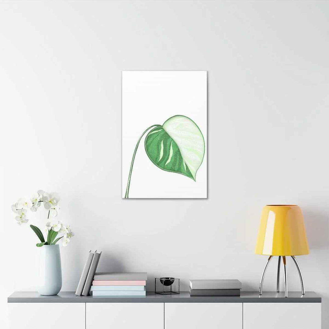 Monstera Albo Canvas | Large Tropical Leaf Artwork - Matte Finish Canvas Art Print