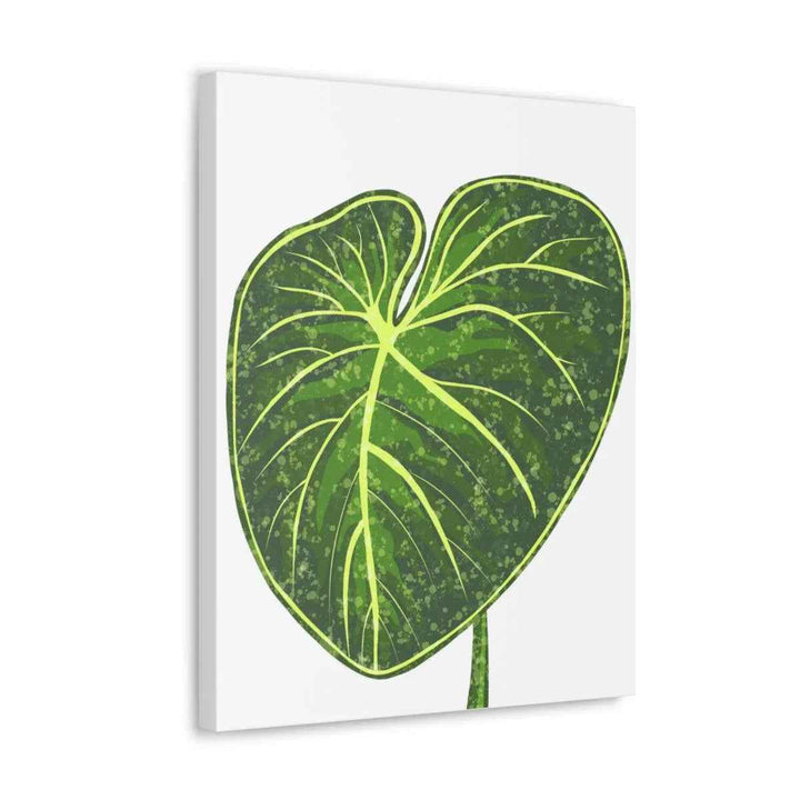 Philodendron Gloriosum Canvas - Stretched Canvas Art Print | Matte Indoor Wall Art