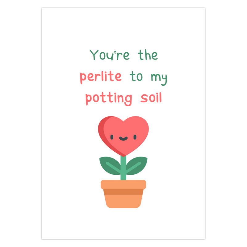 Heart Plant Valentines Day Card Pack 