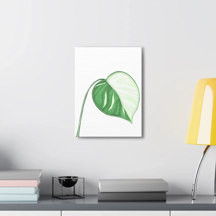 Monstera Albo Canvas | Large Tropical Leaf Artwork - Matte Finish Canvas Art Print - Laura Christine Photography & Design