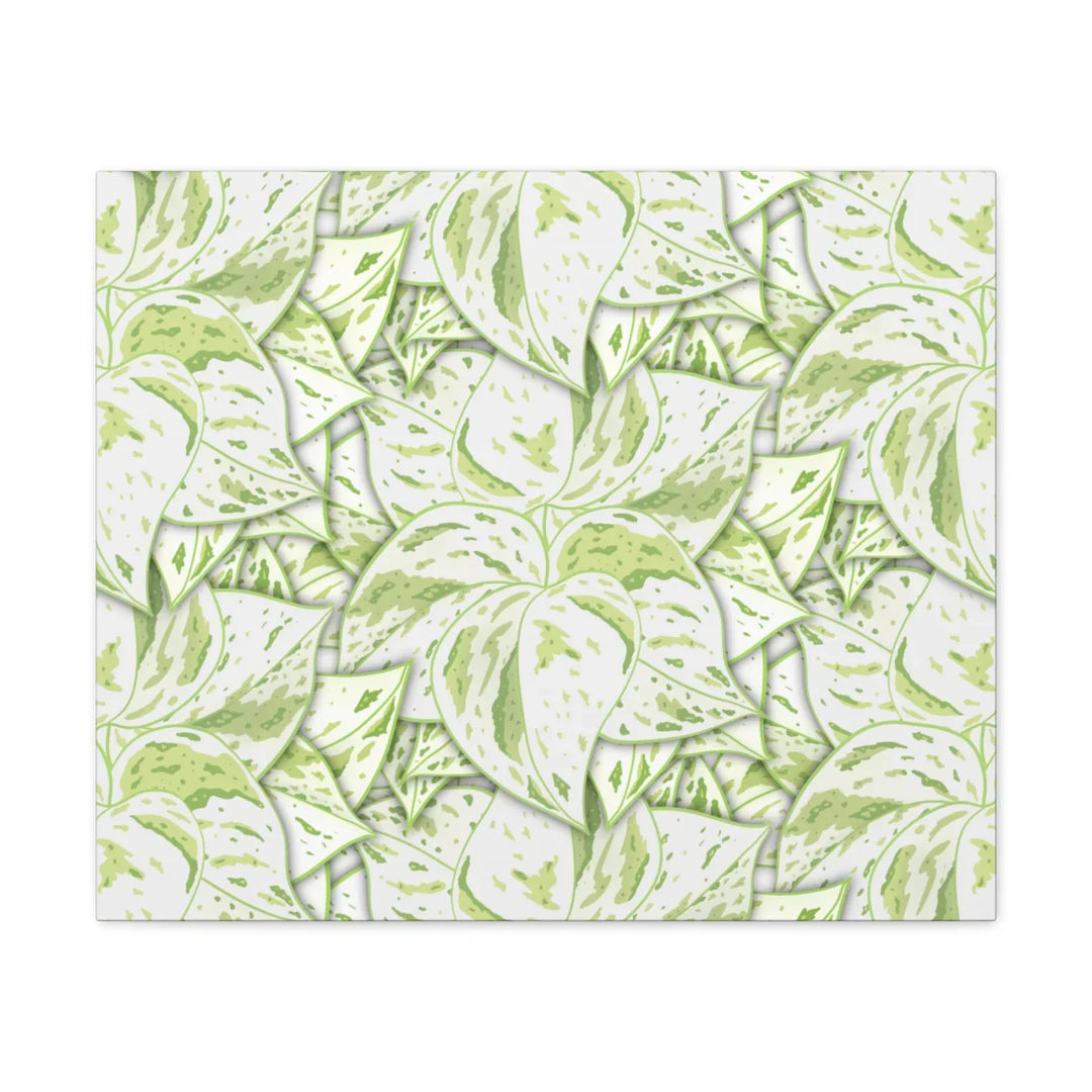 Snow Queen Pothos Canvas – Matte Finish Canvas Art Print | Variegated Botanical Wall Decor