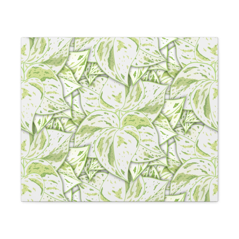 Snow Queen Pothos Canvas