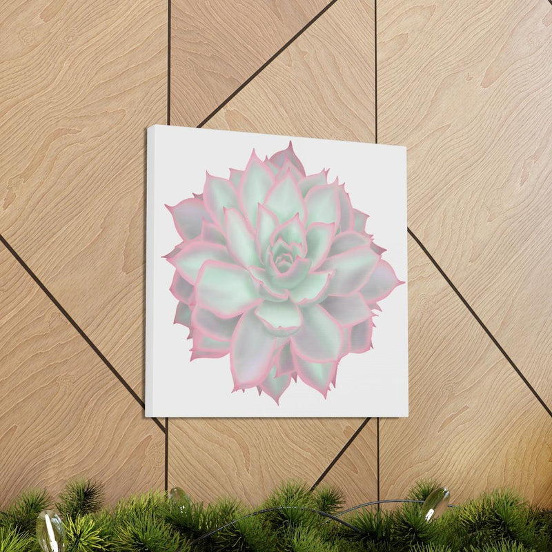 Echeveria Violet Queen Succulent Canvas, Canvas, Laura Christine Photography & Design, Art & Wall Decor, Canvas, Hanging Hardware, Home & Living, Indoor, Laura Christine Photography & Design, laurachristinedesign.com