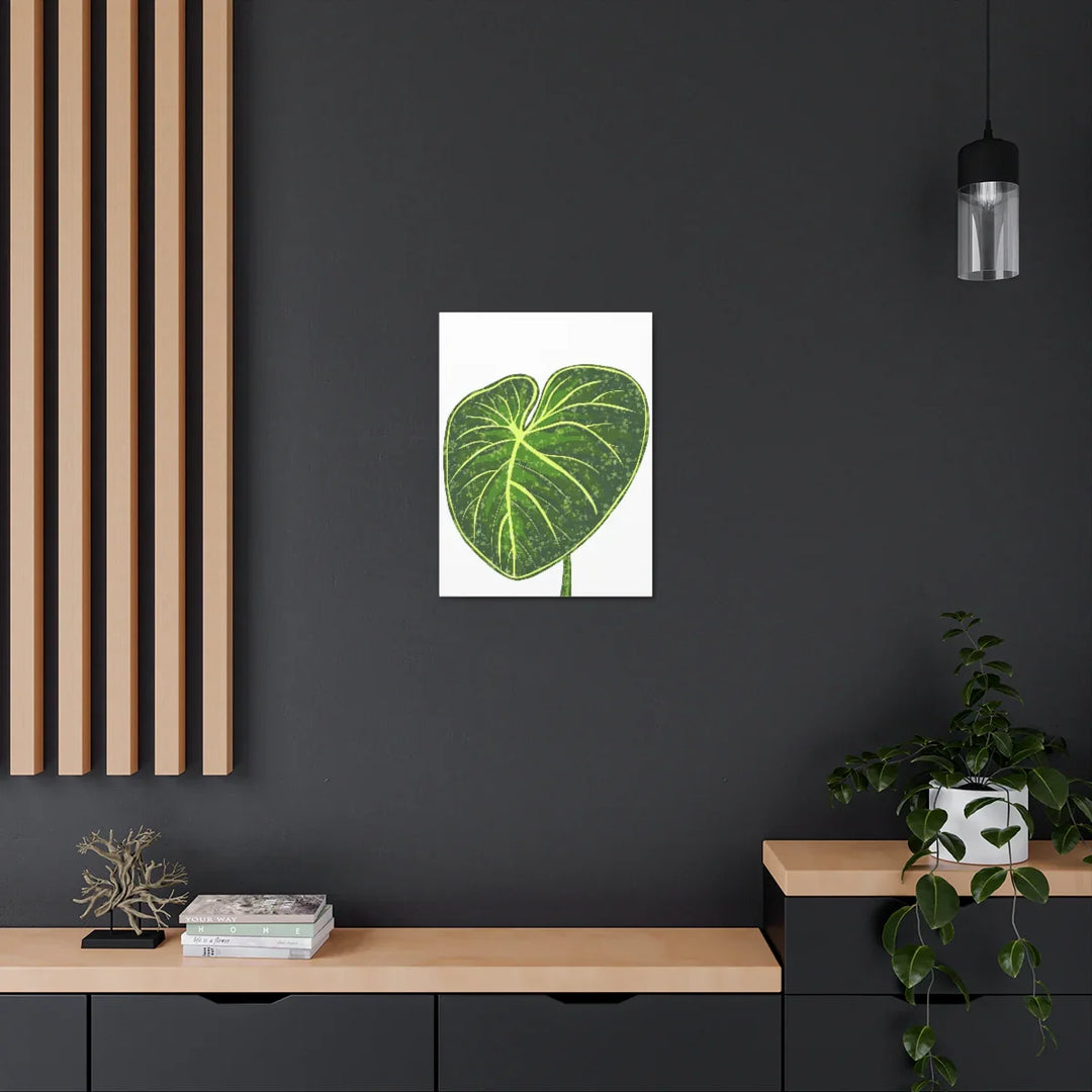Philodendron Gloriosum Canvas - Stretched Canvas Art Print | Matte Indoor Wall Art - Laura Christine Photography & Design
