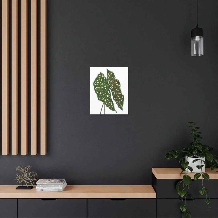 Begonia Maculata Canvas | Premium Canvas Art Print - Matte Finish, Durable Wall Decor