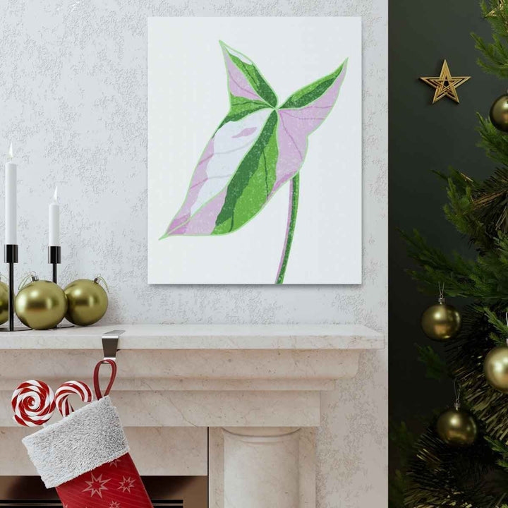 Syngonium Tricolor Canvas | Botanical Canvas Art Print With Matte Finish