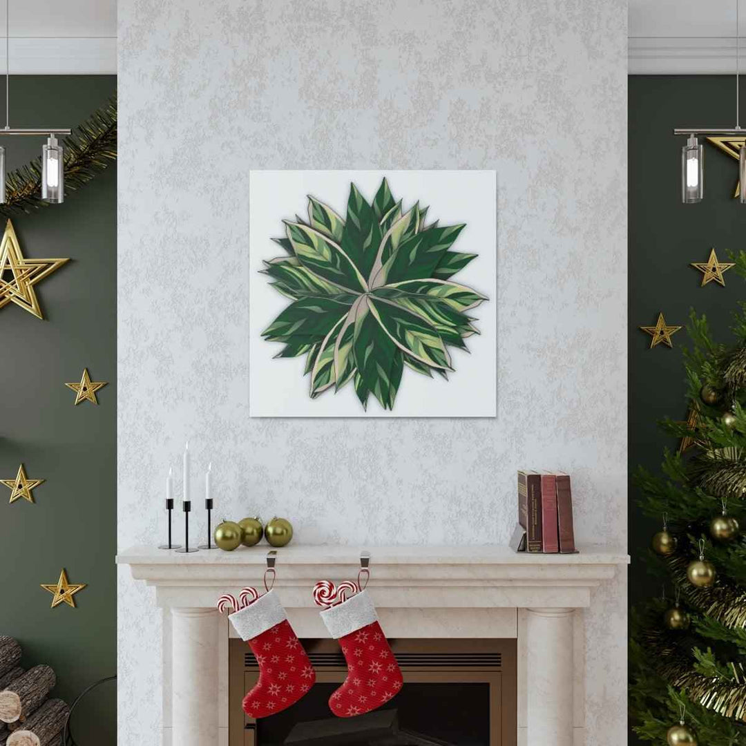 Stromanthe Triostar Canvas - Pastel Stripe Canvas Art Print With Vivid Color Artwork