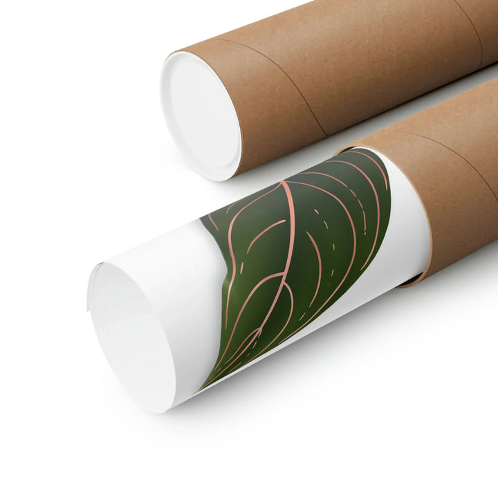 Aglaonema Rotundum Print – Botanical Wall Art on Museum Grade Paper | Unframed