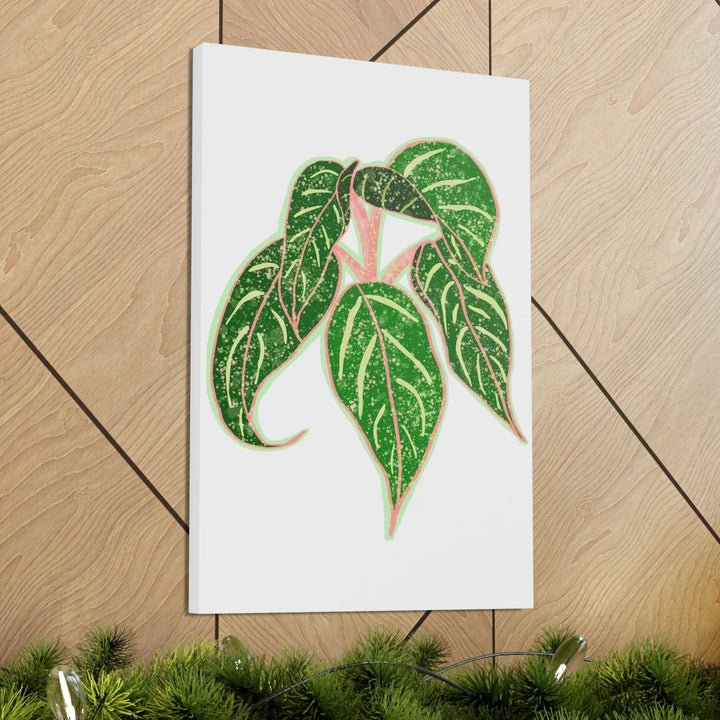 Aglaonema Plant Canvas | Sparkling Plant Artwork - Colorfast Canvas Art Print Decor