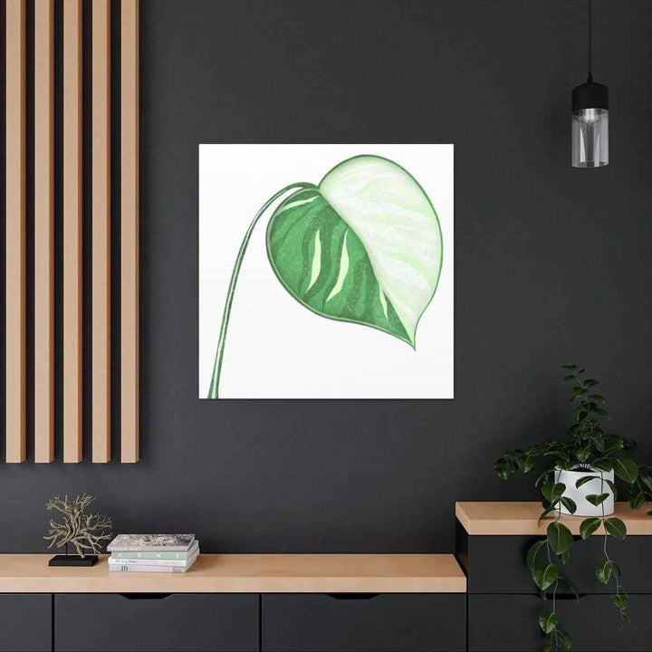 Monstera Albo Canvas | Large Tropical Leaf Artwork - Matte Finish Canvas Art Print