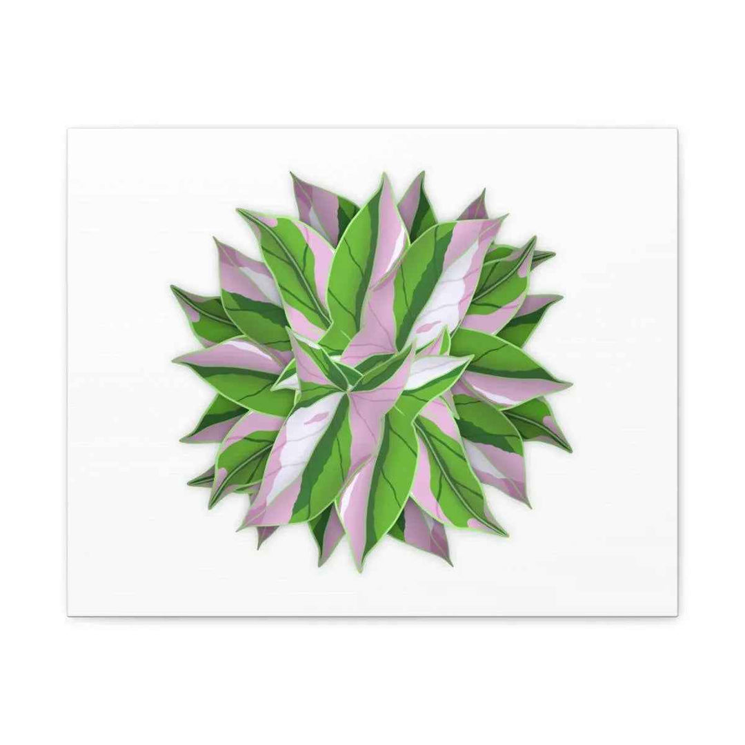 Tricolor Syngonium Canvas - Durable Canvas Art Print With Matte Finish & Botanical Design