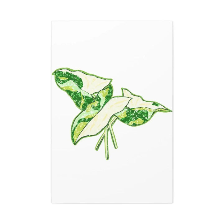 Marble Syngonium Canvas - Botanical Canvas Art Print | Durable Cotton Matte Finish - Laura Christine Photography & Design