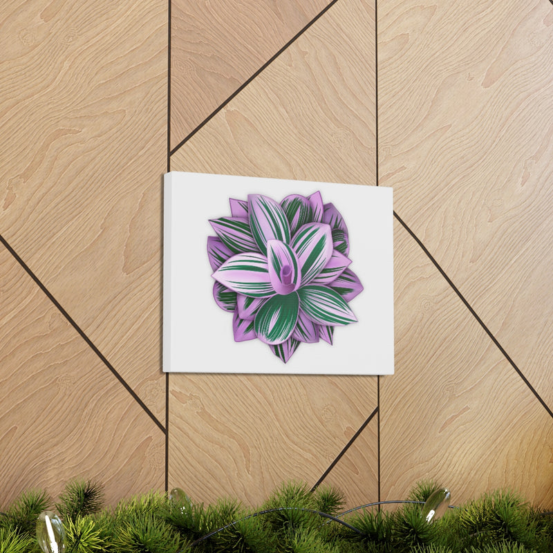 Tradescantia Nanouk Canvas