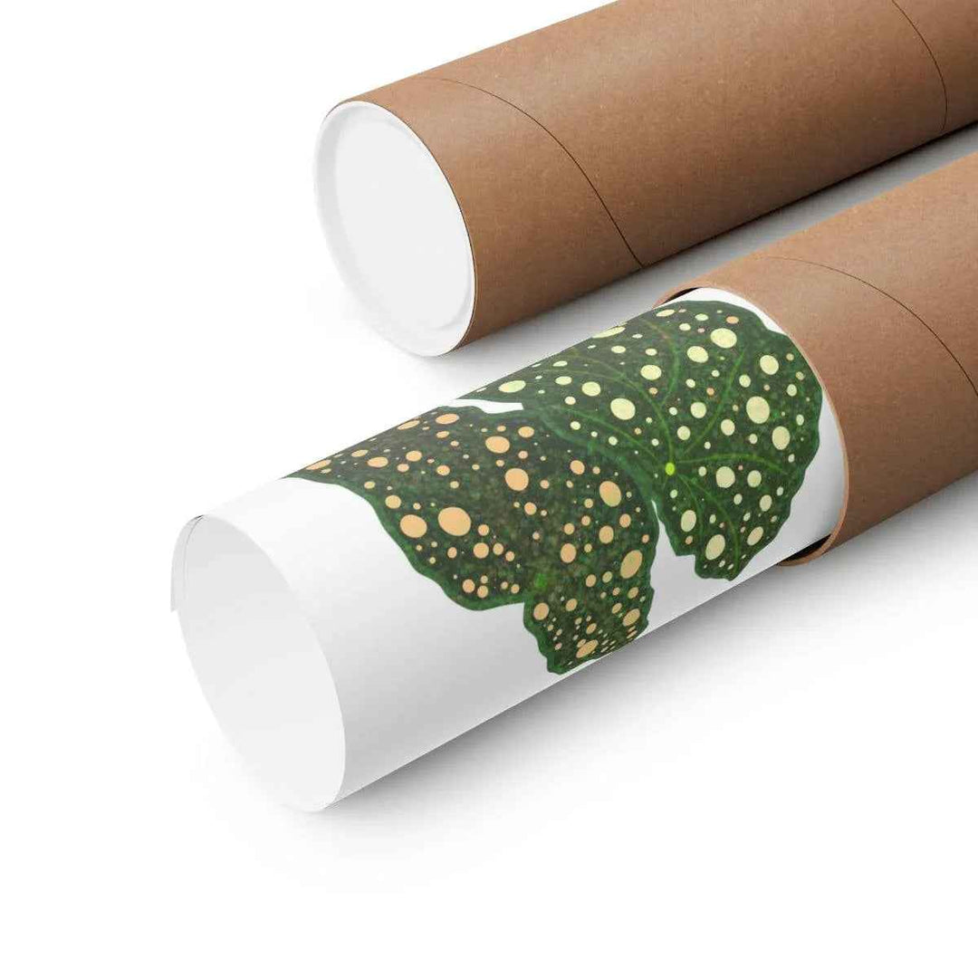 Begonia Maculata Print - Botanical Wall Art on Museum Grade Paper | Matte Finish Unframed