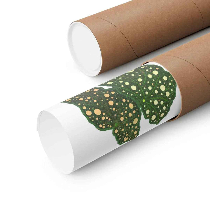 Begonia Maculata Print - Botanical Wall Art on Museum Grade Paper | Matte Finish Unframed