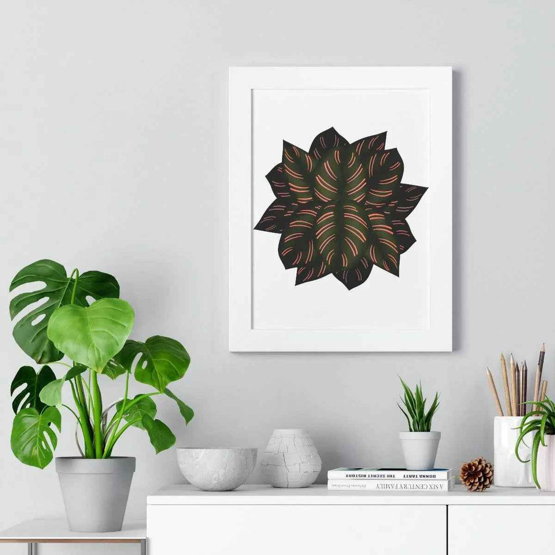Calathea Pinstripe Print - Framed Botanical Art With Matte Finish & Acrylic Cover
